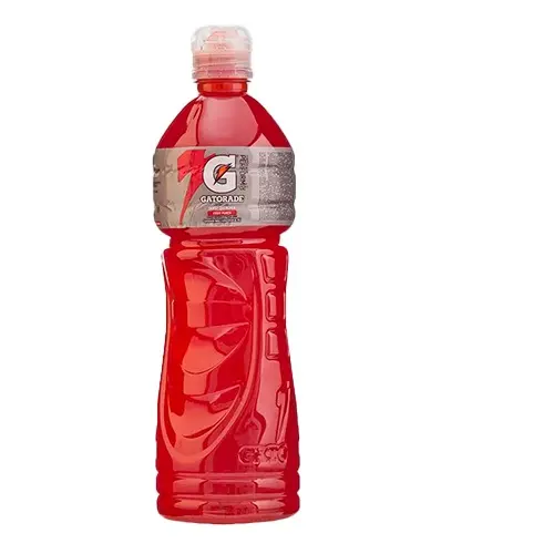 GATORADE FRUIT PUNCH PET 600 ML