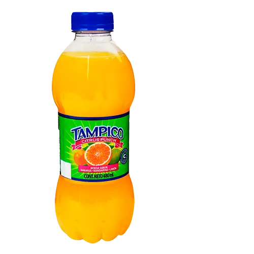 JUGO TAMPICO 480 ML